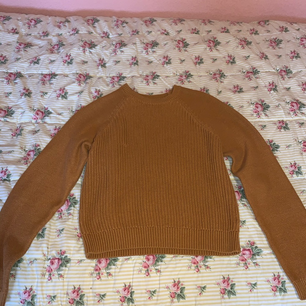 Burnt orange sweater